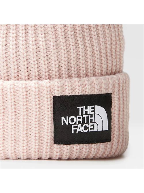 salty dog beanie THE NORTH FACE | NF0A7WG8LK61